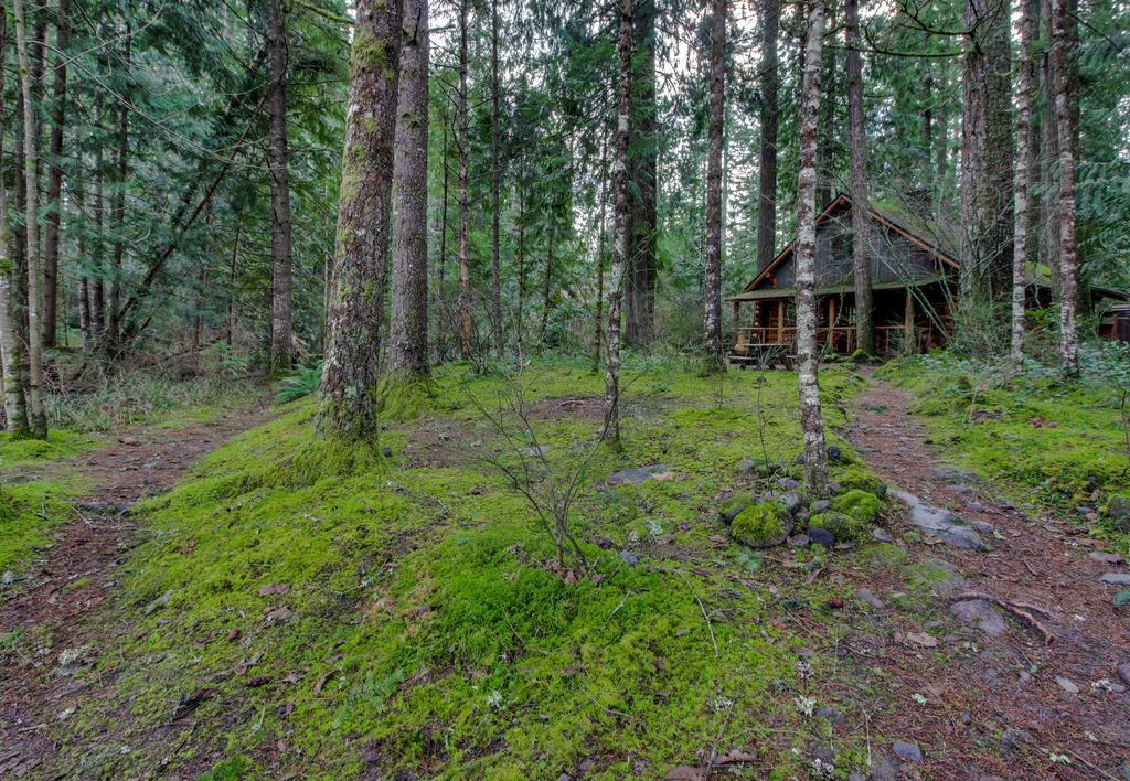 Zoe'S Log Cabin Welches المظهر الخارجي الصورة
