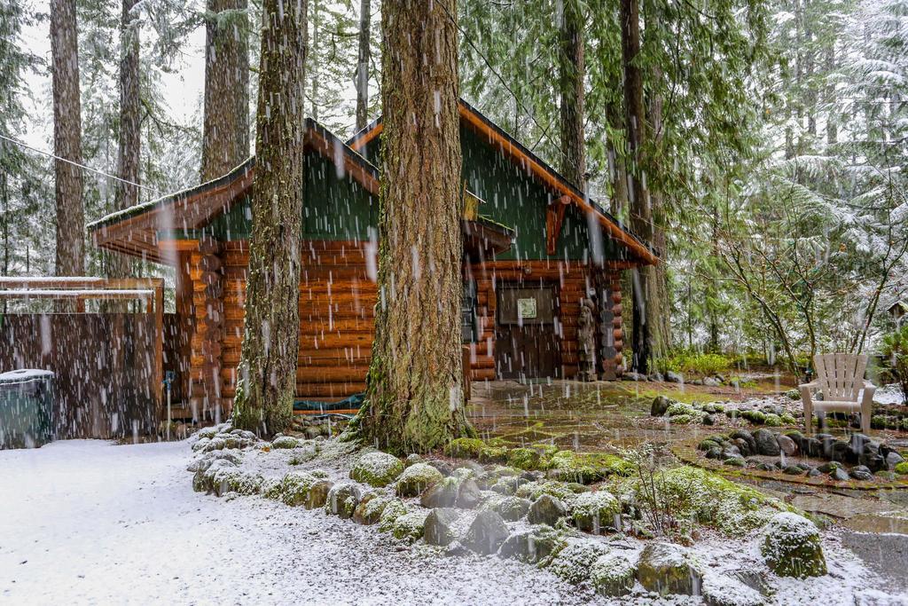 Zoe'S Log Cabin Welches المظهر الخارجي الصورة